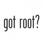 Motorola root